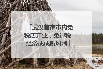 武汉首家市内免税店开业，免退税经济或成新风潮