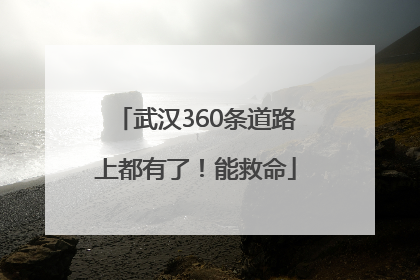 武汉360条道路上都有了！能救命