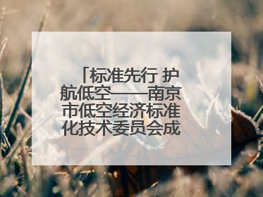 标准先行 护航低空——南京市低空经济标准化技术委员会成立大会召开