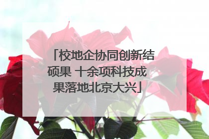 校地企协同创新结硕果 十余项科技成果落地北京大兴
