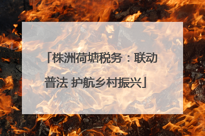 株洲荷塘税务：联动普法 护航乡村振兴