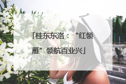 桂东东洛：“红领雁”领航百业兴