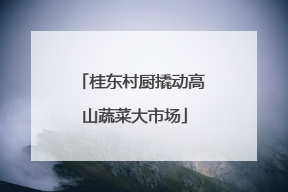 桂东村厨撬动高山蔬菜大市场