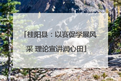 桂阳县：以赛促学展风采 理论宣讲润心田