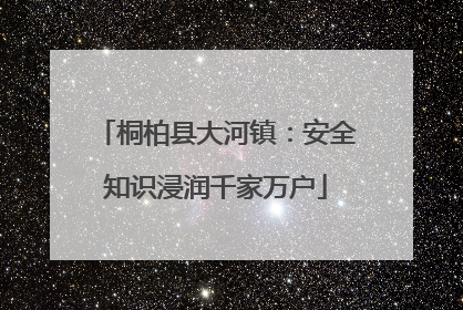 桐柏县大河镇：安全知识浸润千家万户