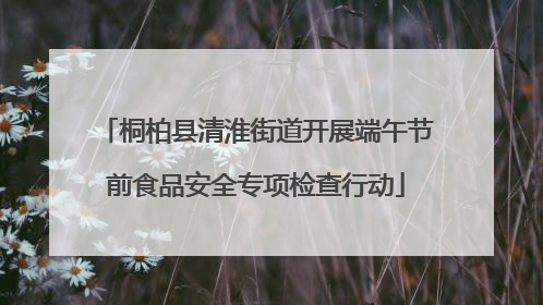 桐柏县清淮街道开展端午节前食品安全专项检查行动