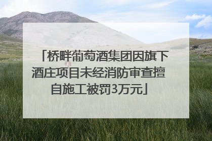 桥畔葡萄酒集团因旗下酒庄项目未经消防审查擅自施工被罚3万元