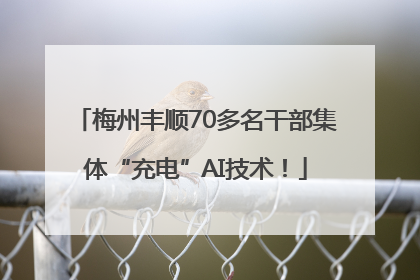 梅州丰顺70多名干部集体“充电”AI技术！