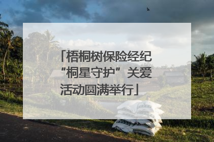 梧桐树保险经纪“桐星守护”关爱活动圆满举行