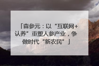 森参元：以“互联网+认养”重塑人参产业，争做时代“新农民”