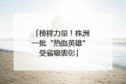 榜样力量！株洲一批“热血英雄”受省级表彰
