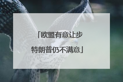 欧盟有意让步 特朗普仍不满意