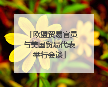 欧盟贸易官员与美国贸易代表举行会谈