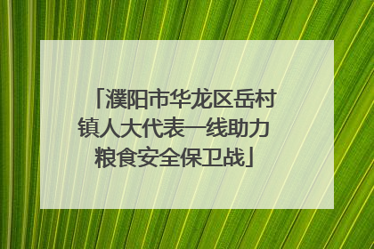 濮阳市华龙区岳村镇人大代表一线助力粮食安全保卫战