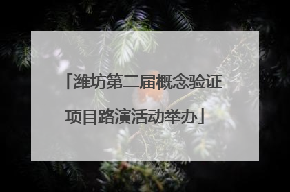 潍坊第二届概念验证项目路演活动举办