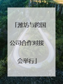 潍坊与跨国公司合作对接会举行