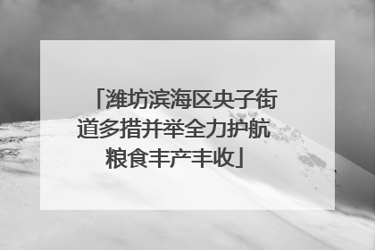 潍坊滨海区央子街道多措并举全力护航粮食丰产丰收