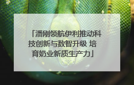 潘刚领航伊利推动科技创新与数智升级 培育奶业新质生产力
