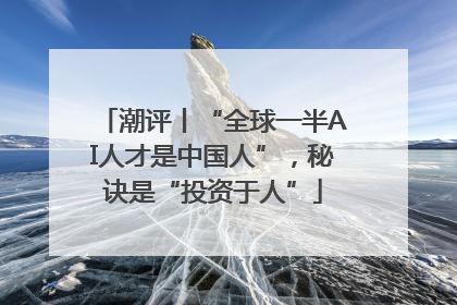 潮评丨“全球一半AI人才是中国人”，秘诀是“投资于人”