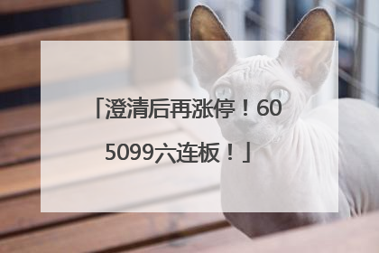 澄清后再涨停！605099六连板！