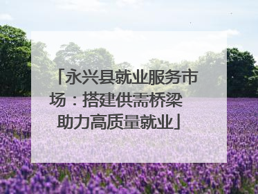 永兴县就业服务市场：搭建供需桥梁 助力高质量就业