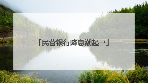 民营银行降息潮起→