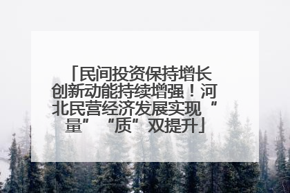 民间投资保持增长 创新动能持续增强！河北民营经济发展实现“量”“质”双提升