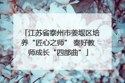 江苏省泰州市姜堰区培养“匠心之师” 奏好教师成长“四部曲”