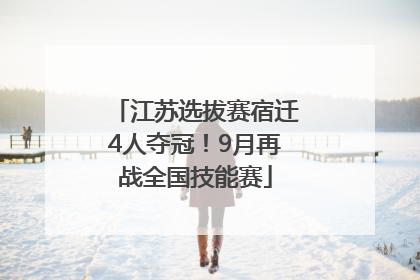 江苏选拔赛宿迁4人夺冠！9月再战全国技能赛