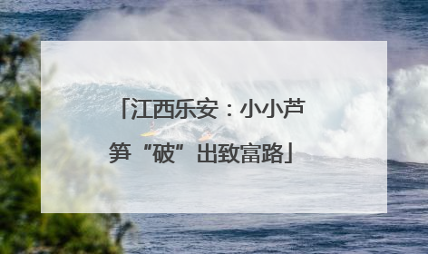 江西乐安：小小芦笋“破”出致富路
