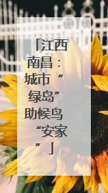 江西南昌：城市“绿岛”助候鸟“安家”