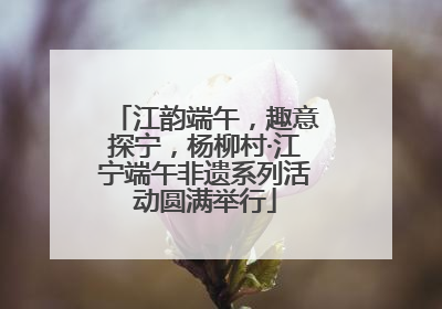 江韵端午，趣意探宁，杨柳村·江宁端午非遗系列活动圆满举行
