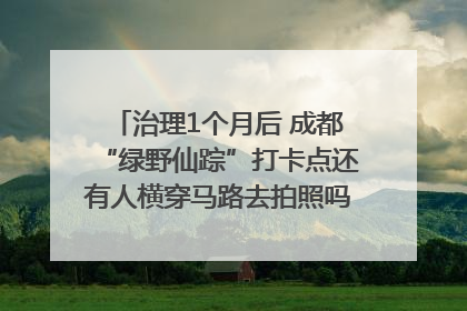 治理1个月后 成都“绿野仙踪”打卡点还有人横穿马路去拍照吗？｜民情瞭望