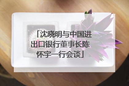 沈晓明与中国进出口银行董事长陈怀宇一行会谈