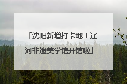 沈阳新增打卡地！辽河非遗美学馆开馆啦
