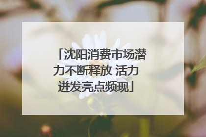 沈阳消费市场潜力不断释放 活力迸发亮点频现