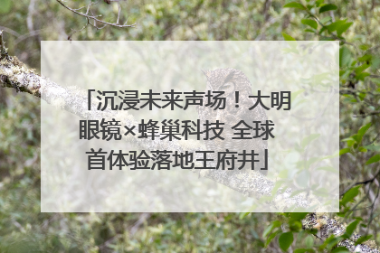 沉浸未来声场！大明眼镜×蜂巢科技 全球首体验落地王府井