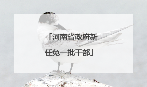 河南省政府新任免一批干部