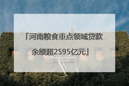 河南粮食重点领域贷款余额超2595亿元
