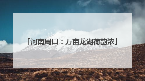 河南周口：万亩龙湖荷韵浓