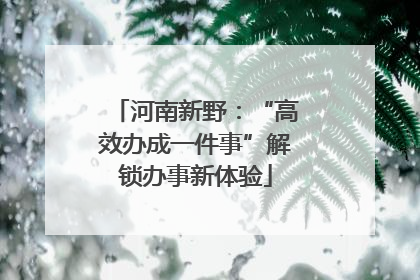 河南新野：“高效办成一件事”解锁办事新体验