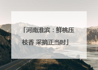 河南淮滨：鲜桃压枝香 采摘正当时