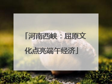 河南西峡：屈原文化点亮端午经济