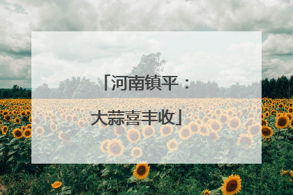 河南镇平：大蒜喜丰收