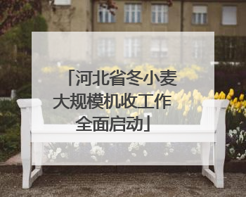 河北省冬小麦大规模机收工作全面启动