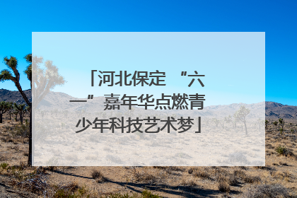 河北保定 “六一”嘉年华点燃青少年科技艺术梦
