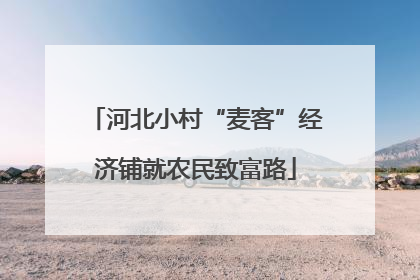 河北小村“麦客”经济铺就农民致富路