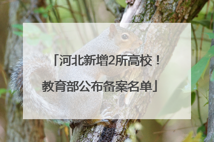 河北新增2所高校！教育部公布备案名单