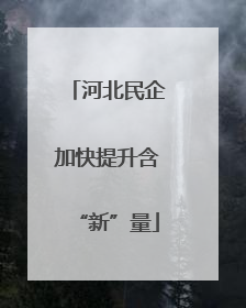 河北民企加快提升含“新”量