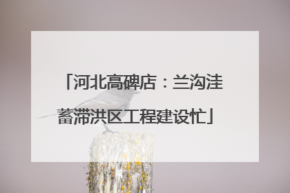 河北高碑店：兰沟洼蓄滞洪区工程建设忙